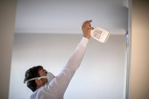 Best Affordable Mold Removal  in San Elizario, TX