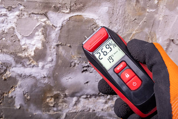 Office Mold Removal Services in San Elizario, TX