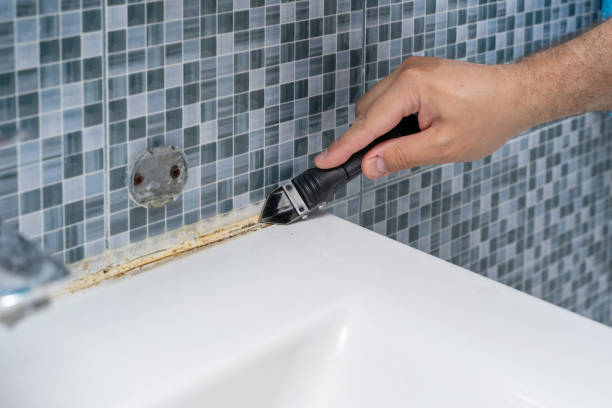 Best Mold Damage Repair  in San Elizario, TX
